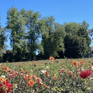 Meet your Posher, Madison